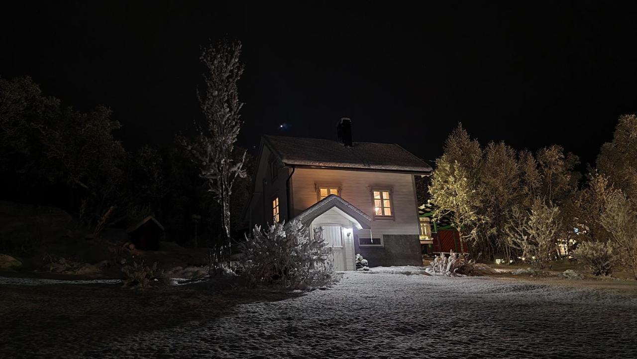 Cabin Magic On Senja, Atmosphere Like A Fairytale Botnhamn Экстерьер фото
