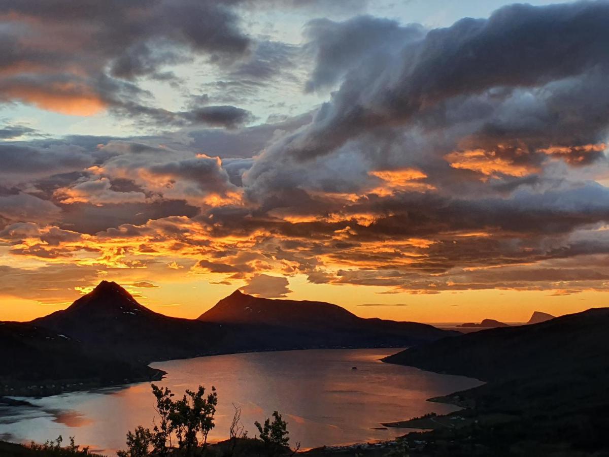 Cabin Magic On Senja, Atmosphere Like A Fairytale Botnhamn Экстерьер фото