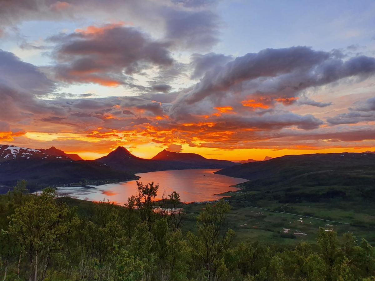 Cabin Magic On Senja, Atmosphere Like A Fairytale Botnhamn Экстерьер фото