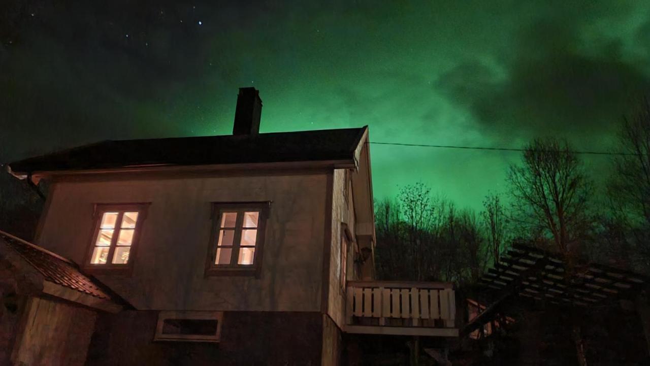 Cabin Magic On Senja, Atmosphere Like A Fairytale Botnhamn Экстерьер фото