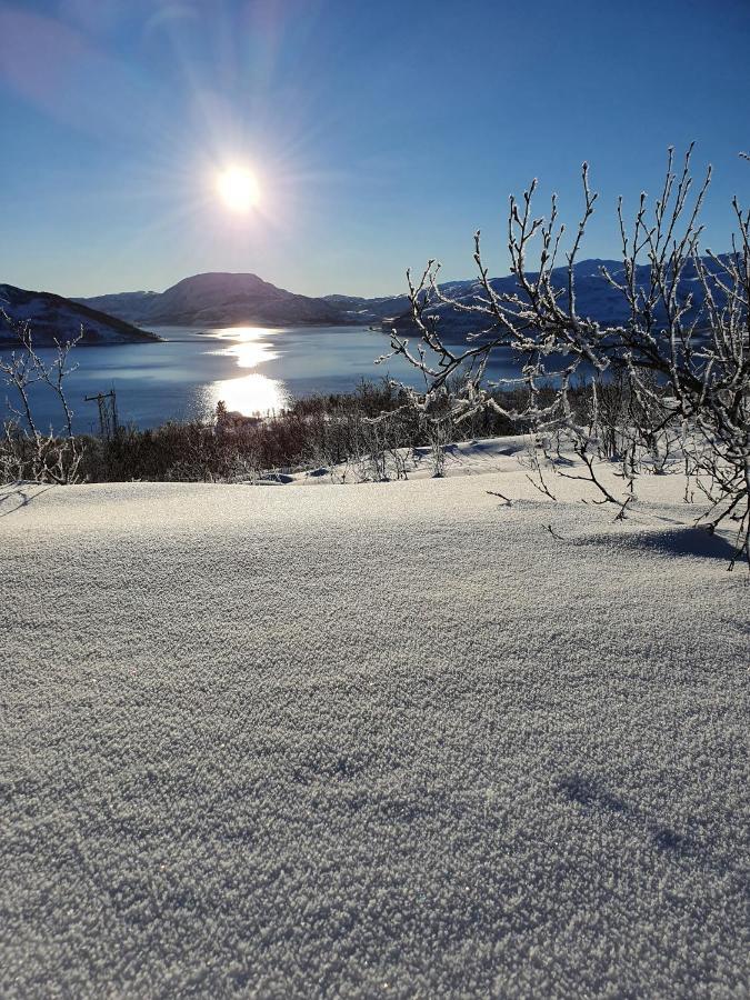 Cabin Magic On Senja, Atmosphere Like A Fairytale Botnhamn Экстерьер фото