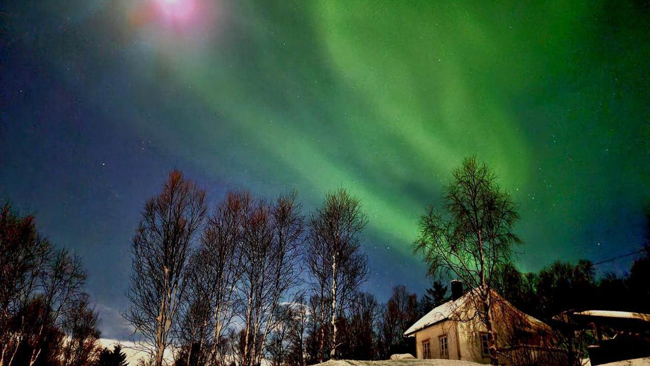 Cabin Magic On Senja, Atmosphere Like A Fairytale Botnhamn Экстерьер фото