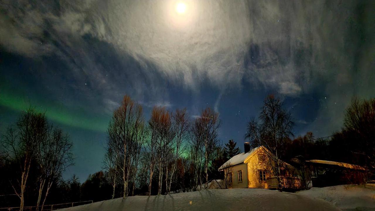 Cabin Magic On Senja, Atmosphere Like A Fairytale Botnhamn Экстерьер фото