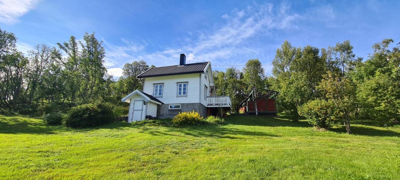 Cabin Magic On Senja, Atmosphere Like A Fairytale Botnhamn Экстерьер фото